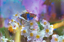 Load image into Gallery viewer, Color Film Processing - 35mm, 110 and 120