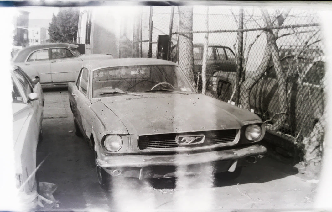 B&W Film Processing and 4x6 Prints - 35mm, 110 and 120